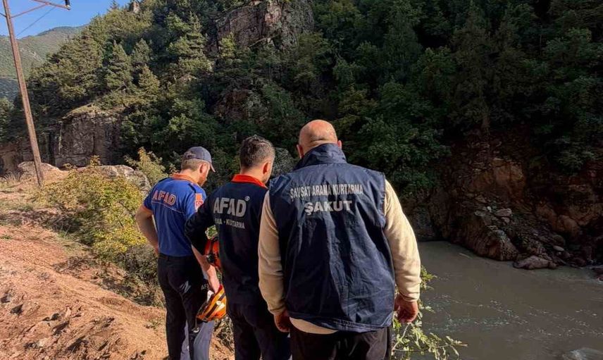 Artvin’de Şavşat Deresi'ne düşen araçtan bir kişi hafif yaralı kurtarıldı