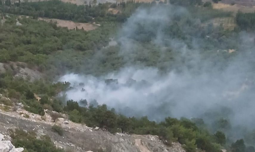 Gölbaşı'nda akşam düşen yıldırım orman yangınına yol açtı