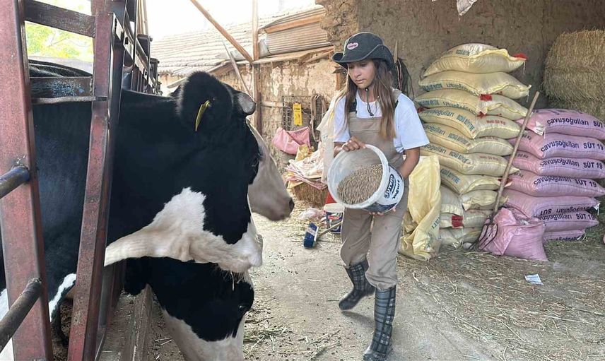 Babasının yükünü sırtladı, Emine Kaya tarlada ve üniversitede üretmeyi sürdürdü