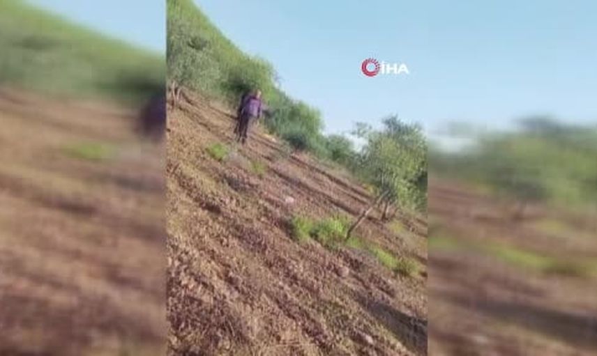 İslahiye Boğaziçi'nde zeytin arazisi kavgası silahlı yaralanmayla bitti