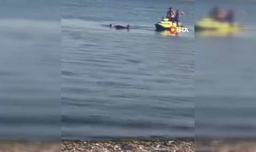 Darıca sahilinde boğulma tehlikesi geçiren genç hastaneye kaldırıldı