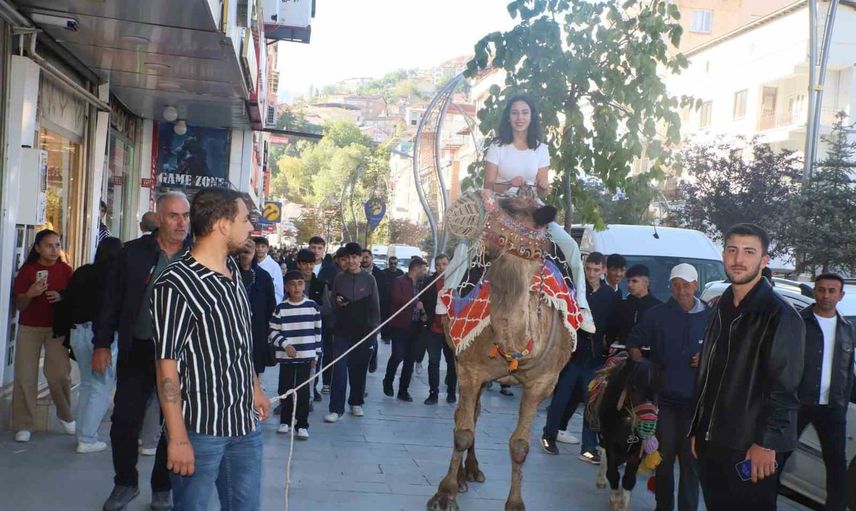 Hakkari çarşısına gelen deve ve midilliler şehre renk kattı