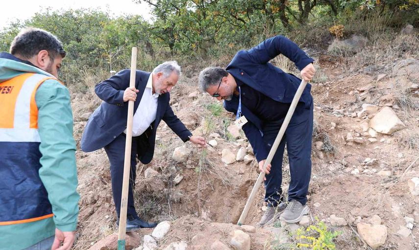 Başkan Yalçın’dan artrit farkındalığına ve yeşile adım