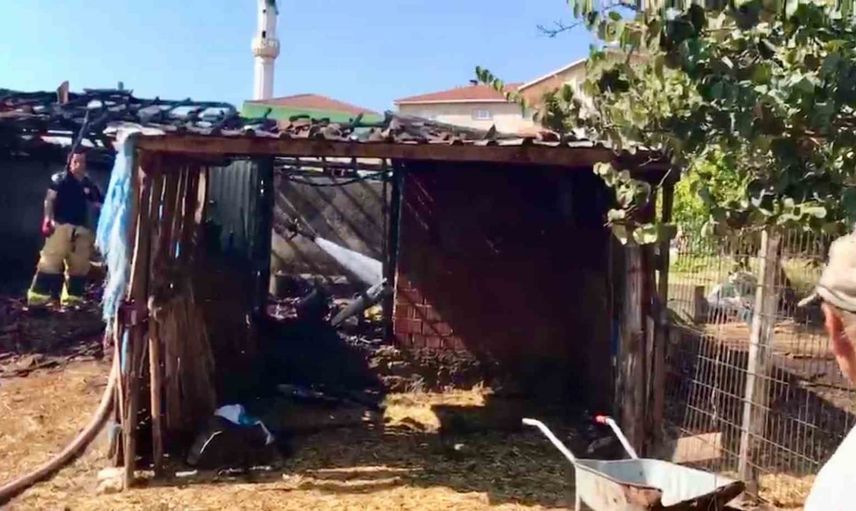 Köy muhtarlığının tankeri alevleri durdurdu: ahırdaki büyükbaşlar kurtarıldı