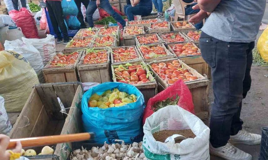 Ata tohumuyle yetişen Çüngüş domatesi kış sofralarının yeni tercihi