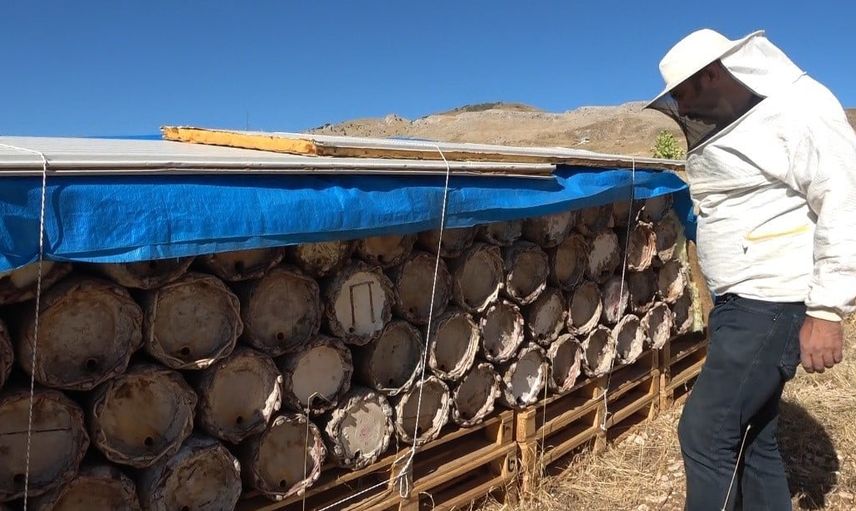 Tunceli'nin kırsalında zamana dirençli arıcılık geleneği