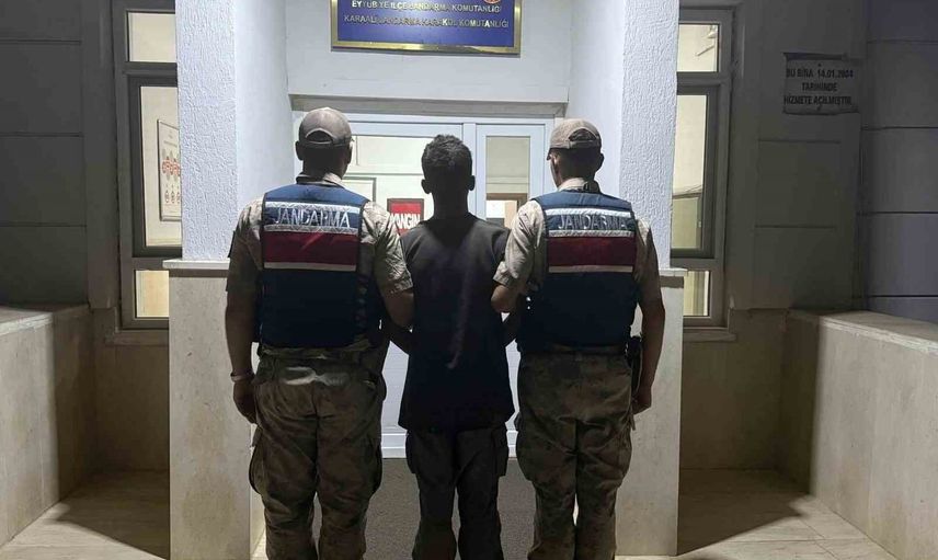 Şanlıurfa'da göçmen kaçakçılığı operasyonunda 20 kişi gözaltında