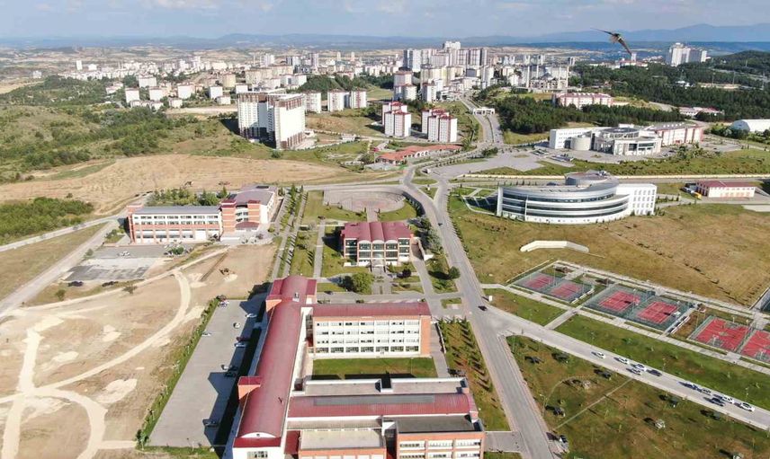 Bezelye kabuklarından manyetik biyokömür: su arıtımında yeniden kullanılabilir çözüm