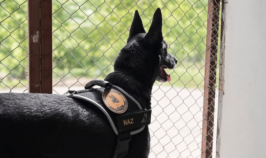 Narkotik operasyonlarının sadık yardımcısı Naz emekliliğe uğurlandı