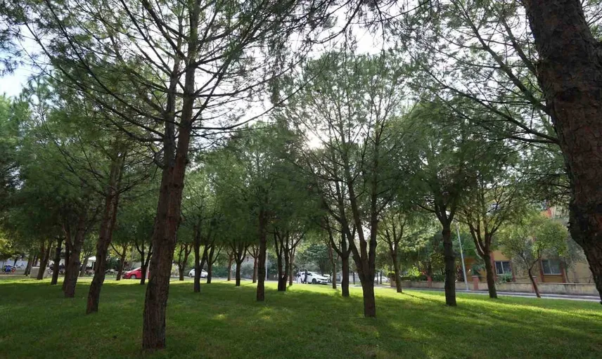 Manisa’da parklar ve spor alanlarında kapsamlı yenileme çalışması