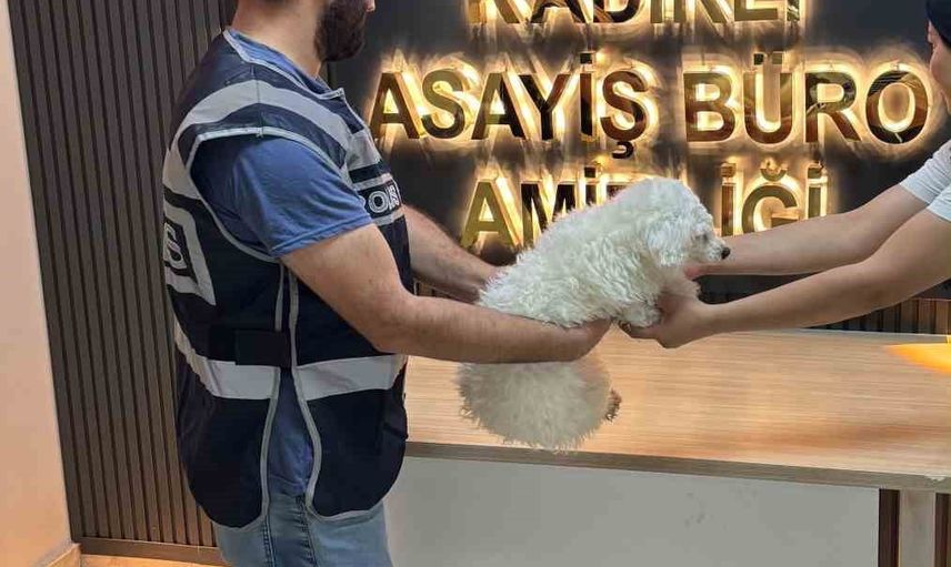 Kadirli'de motosikletle kaçırılan Pamuk güvenlik kamerası sayesinde sahibine kavuştu