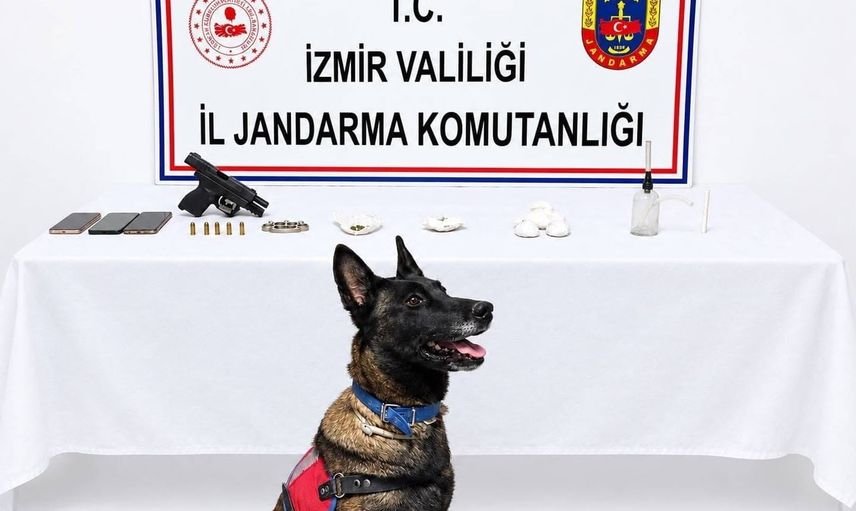 Urla'da jandarmanın Bademler baskını: uyuşturucu ve ruhsatsız tabanca ele geçirildi
