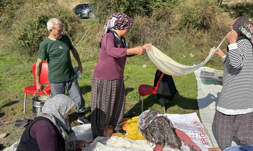çermik'te bağ bozumu geleneği başladı
