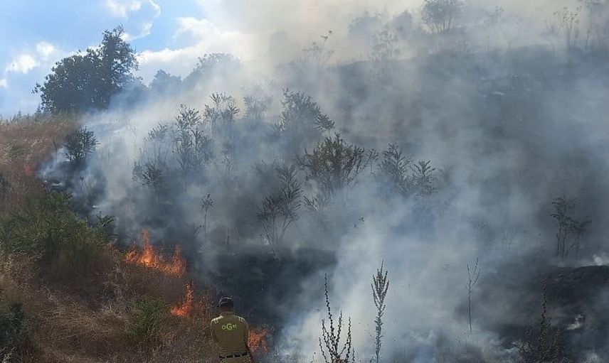 Bozüyük'te helikopter destekli müdahale yangını kısa sürede kontrol altına aldı