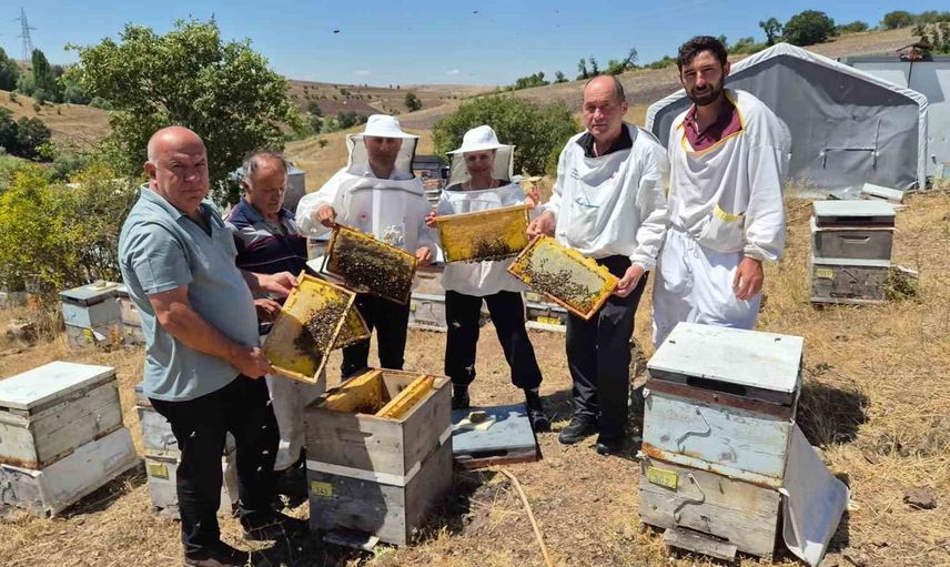 yerel karadeniz arı genotipini güçlendirme ile verimli ana arı üretimi hedefleniyor