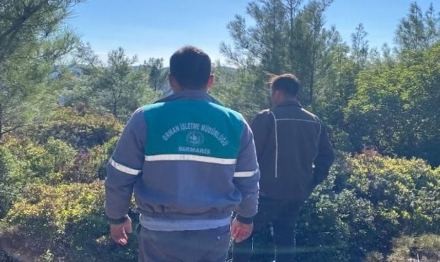 Balan Dağı'nda üç yıldır kayıp İsa Çifçi için yeniden kapsamlı arama başlıyor