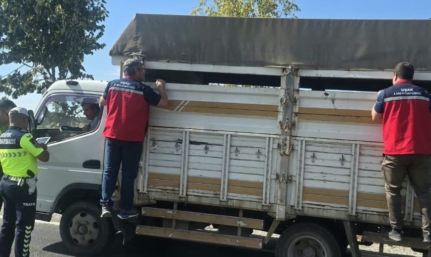 Uşak'ta sınır yollarında sıkı denetim: hayvan sağlığı ve nakiller mercek altında