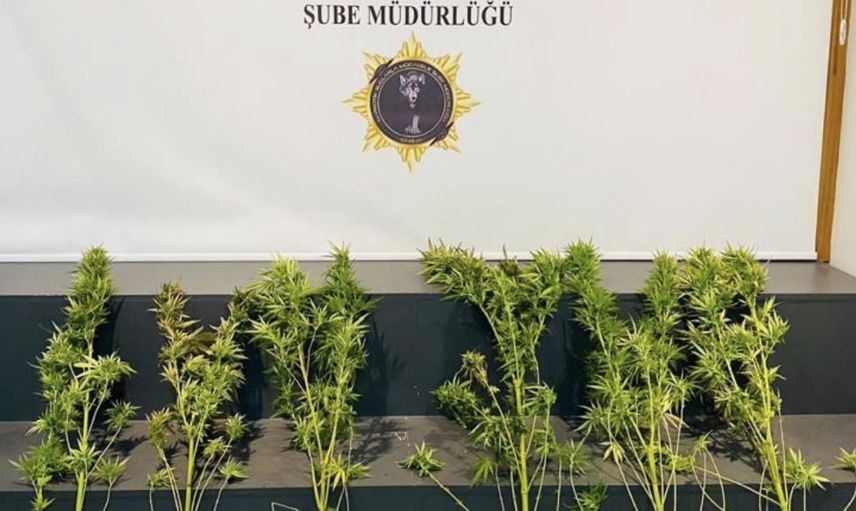 Samsun’da geniş çaplı uyuşturucu operasyonu: sokaktan 760 gram metamfetamin çıktı