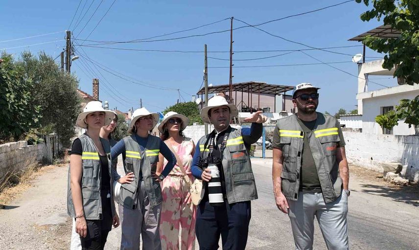 Göç yollarına göre planlanan elektrik önlemleriyle kuşlara daha güvenli gökyüzü