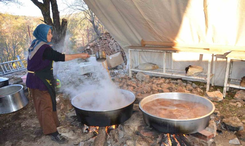 Toroslarda toplanan kozalaklar: beş kilodan bir kiloya uzanan andız pekmezi emeği
