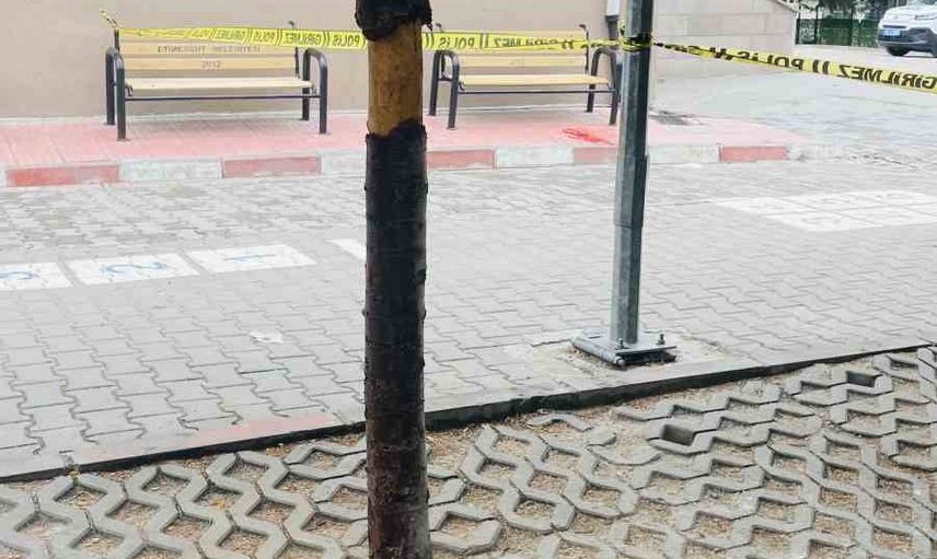 Okul bahçesinde bıçaklanan kadın yoğun bakımda, şüpheli kaçtı