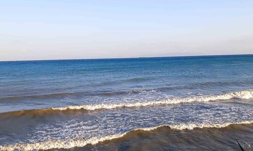 Süleymanpaşa sahilinde poyraz ağaçları devirdi, ekipler önlem aldı