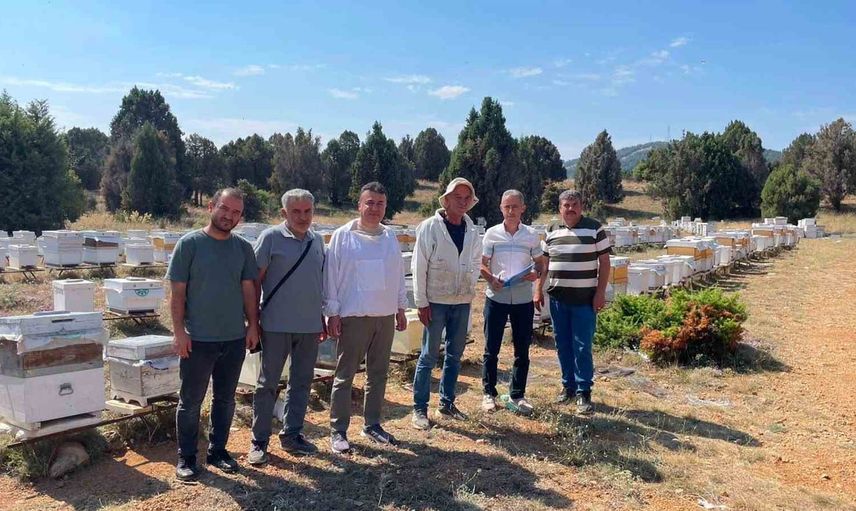 Beyşehir'de arılı kovanlar saha ziyaretleriyle kayıt altına alınıyor