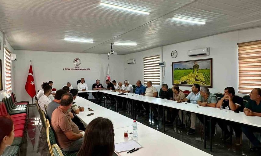 Hatay'da salça üretiminde güvenlik ve iş birliği öne çıktı