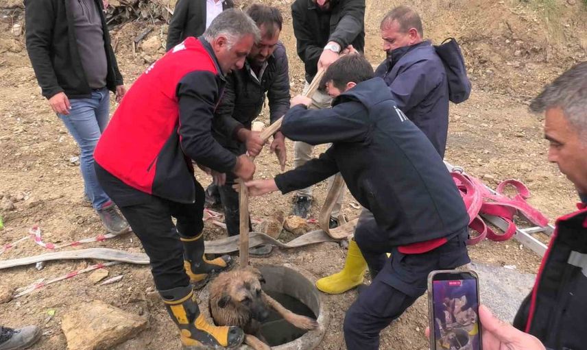 Besni'de çukura düşen köpek itfaiyenin müdahalesiyle serbest kaldı