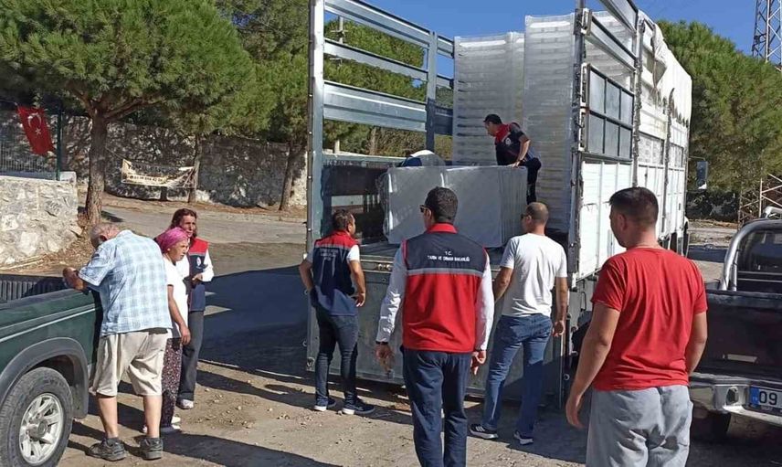 Söke üreticilerine hijyen odaklı yüzde 50 hibe kerevet desteği