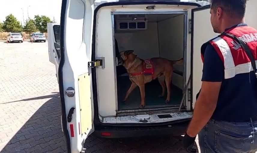 Narkotik köpeği Zırh Avanos'ta uyuşturucu sevkiyatını engelledi