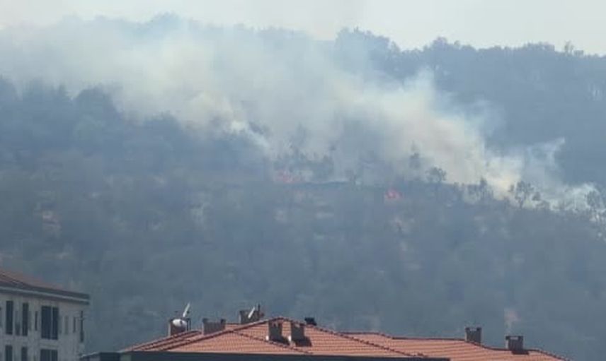 kazdağları eteklerindeki yangın zeytinli istikametine yönlendirildi