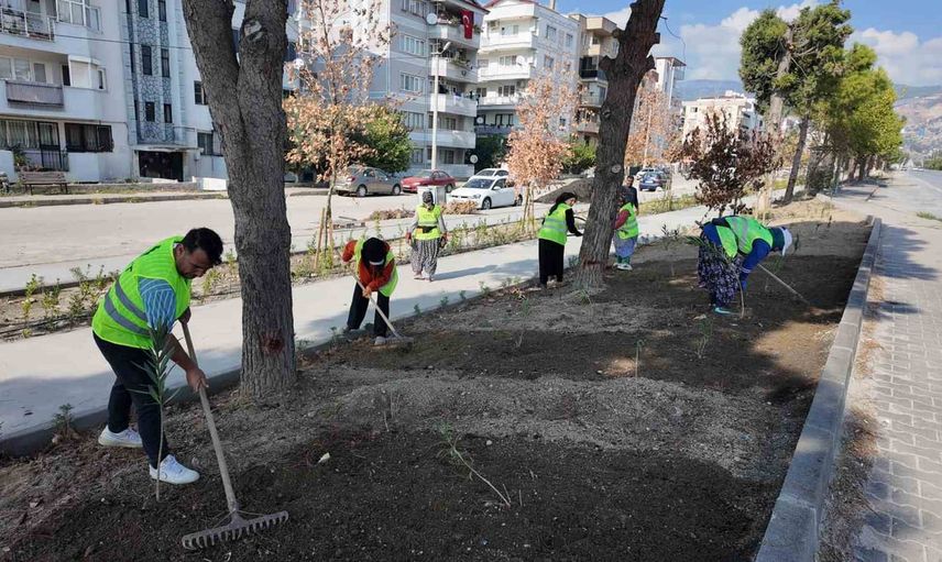 Söke'de dört noktada eş zamanlı altyapı ve çevre yenilemesi: