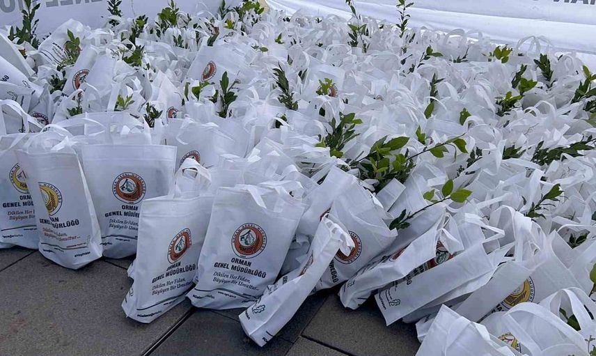İklim için fidan ve sorular: Kocaeli'de COP31 farkındalık etkinliği