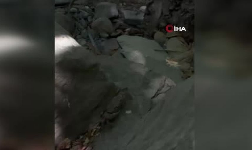Yüksekova'da taşın üzerinde görülen dev yengeç vatandaşları hayrete düşürdü