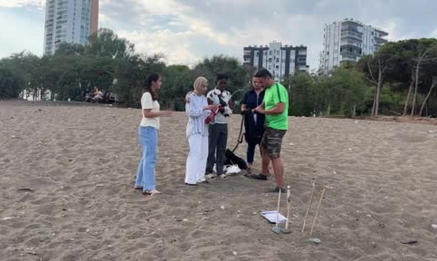 Sahilden denize: Mersin'de yavru kaplumbağaların yüzde 80'i denize ulaştı