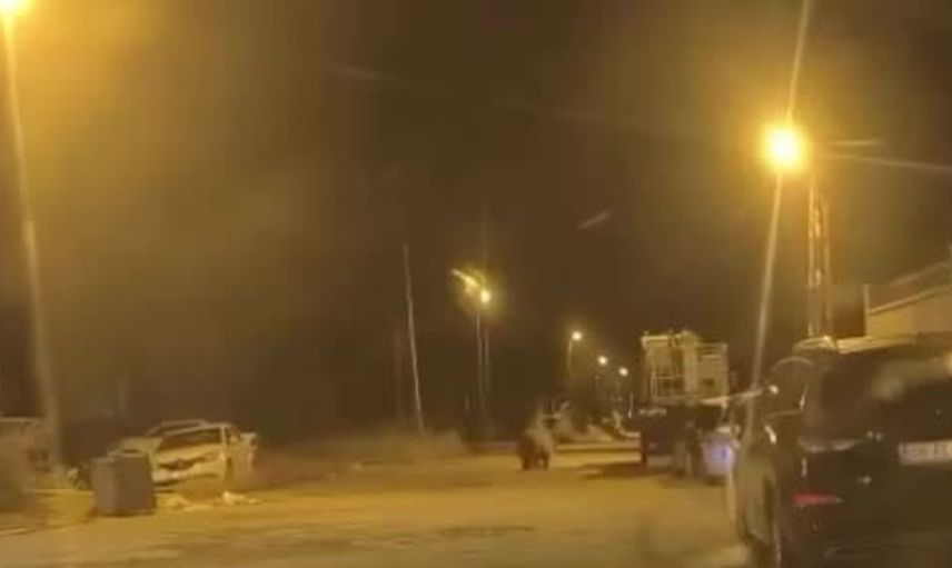 Sinop'ta Saraydüzü ilçe merkezine inen ayı park halindeki araçların arasında görüntülendi