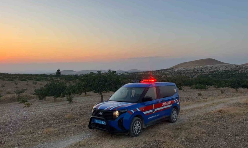 Şanlıurfa'da jandarma fıstık sezonunda gece gündüz güvenlik sağlıyor