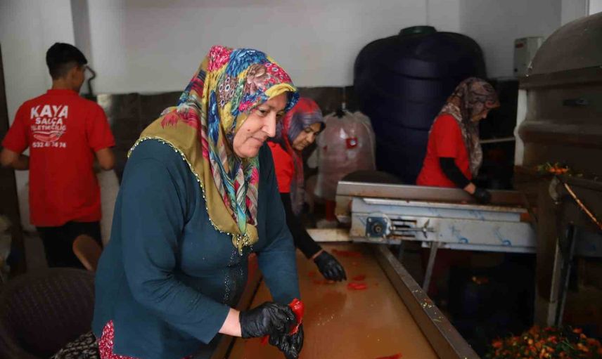 Kışlık salça mesaisi başladı: Gaziantep'te biber üretiminde yoğun tempo