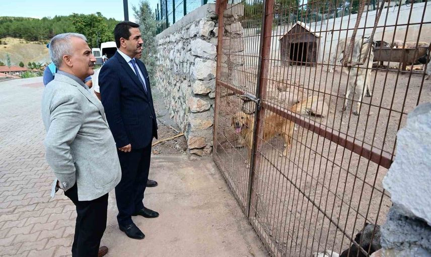 Battalgazi'de yeni hayvan barınağı 350 cana bakım sağlıyor