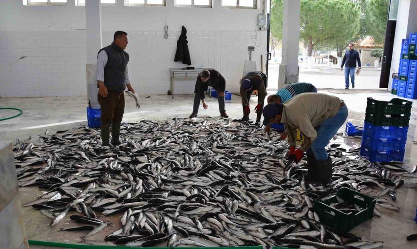 Muğla'nın ihracatı temmuzda ivme kazandı
