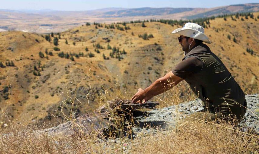 Kara akbaba Muttalip’te doğaya bırakıldı ve uyduyla izlenecek