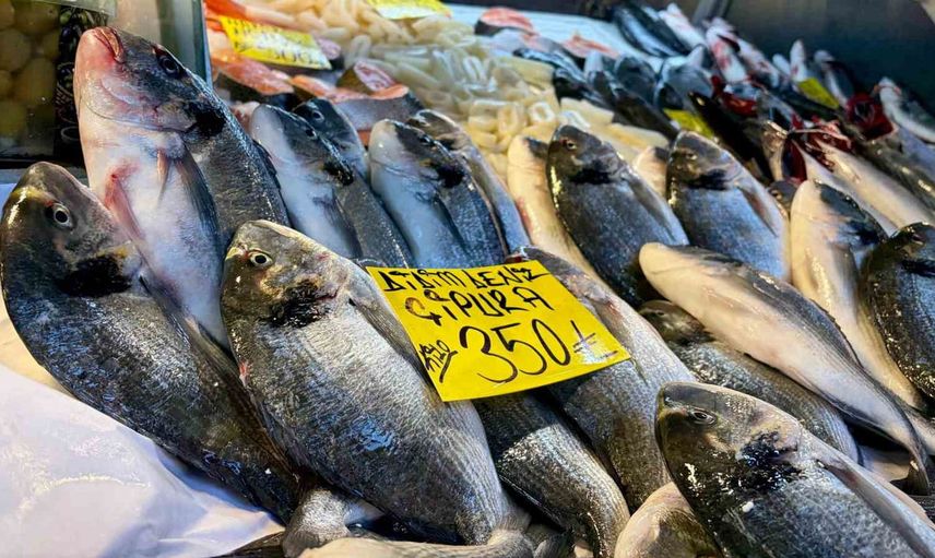Palamut bereketi İzmir tezgahlarında yüzleri güldürdü