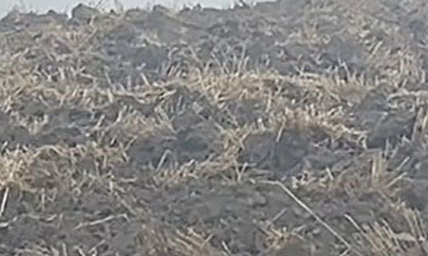 Çorum'da anız yangını 2 bin dönümü kül etti, itfaiye ve köylüler kontrolü sağladı