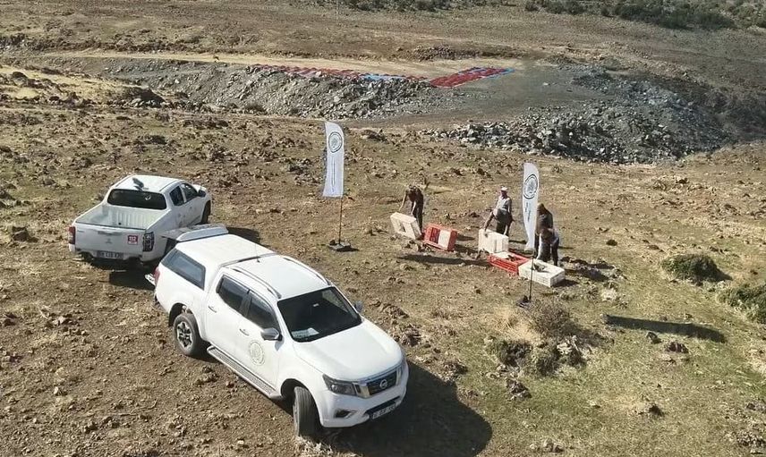 Doğal mücadele için İslahiye'ye yüzlerce kınalı keklik salındı