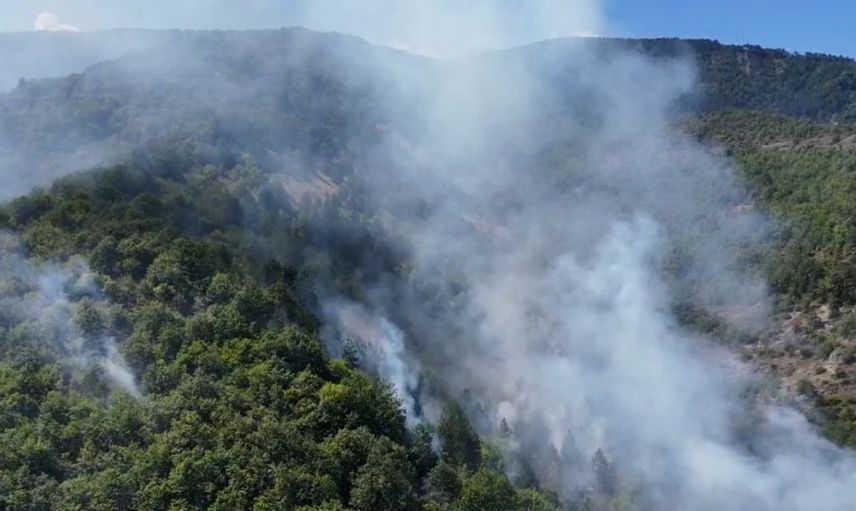 Rüzgarın etkisiyle Sinop'ta orman yangını genişliyor