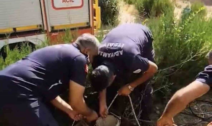 Sondaj kuyusundan itfaiye operasyonuyla umutla çıkarılan yavru kedi
