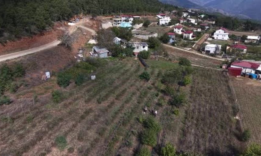 Yayla bahçesinden ekonomiye destek: aronya reçelini 400 liraya satıyor