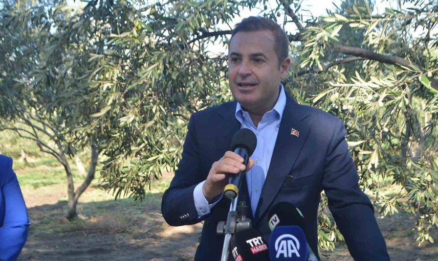Altınova’da dualı açılış: ilk zeytin hasadı bereket ve dayanışmayla başladı