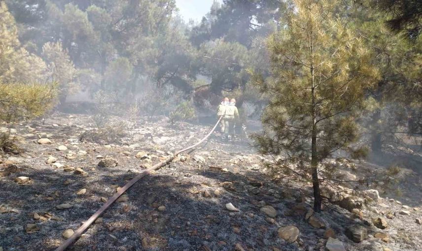 Bekilli'de alevlere karadan hızlı müdahale: yangın büyümeden kontrol altına alındı